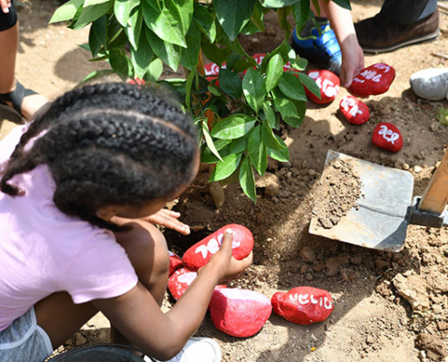 Edible-photo-June-2022