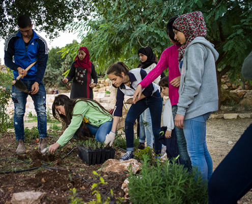 Edible-photo-two-June-2022